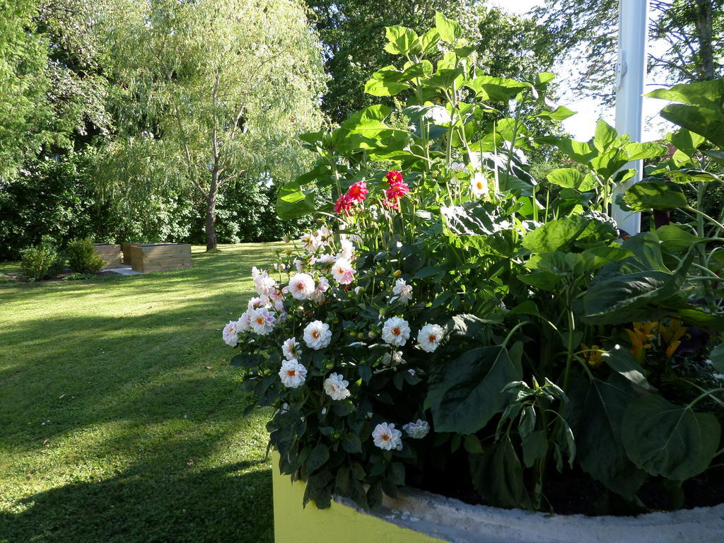 Skogis Bed & Breakfast Katrineholm Εξωτερικό φωτογραφία