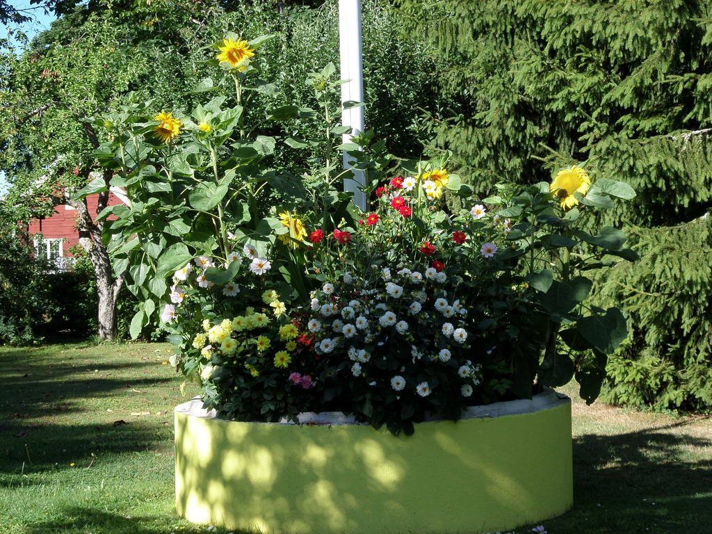 Skogis Bed & Breakfast Katrineholm Εξωτερικό φωτογραφία