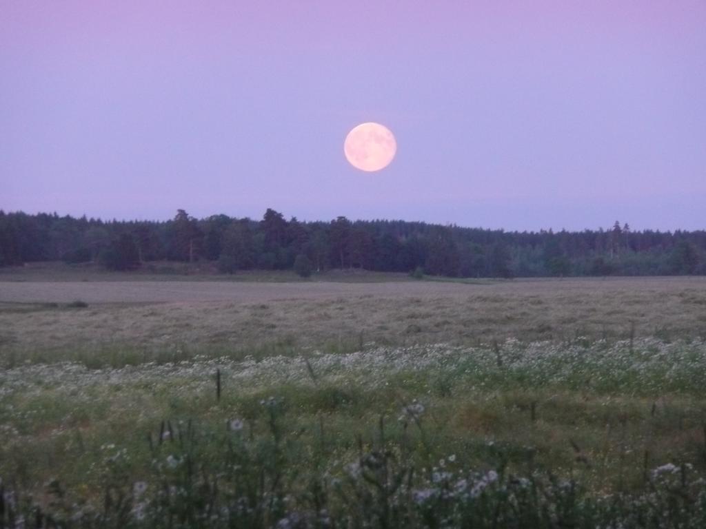 Skogis Bed & Breakfast Katrineholm Εξωτερικό φωτογραφία