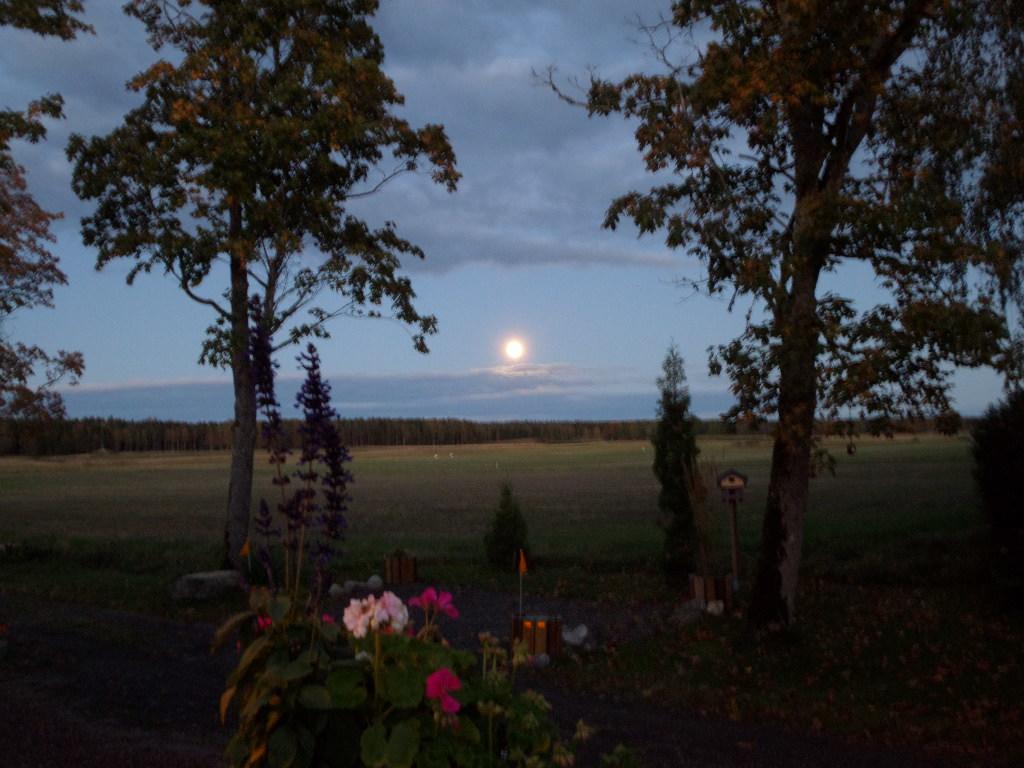 Skogis Bed & Breakfast Katrineholm Εξωτερικό φωτογραφία